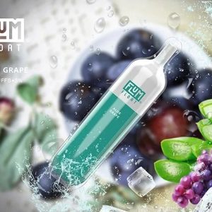 Flum Pebble Aloe Grape 3000 Puffs