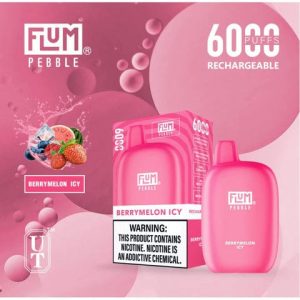 Flum Mello Berrymelon Icy