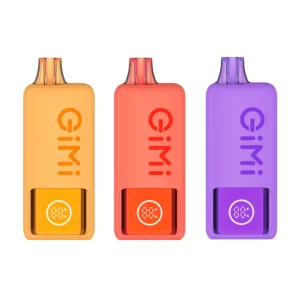 Flum Gimi Smart Disposable Vape
