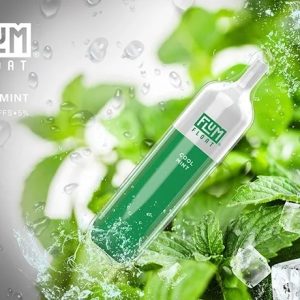 Flum Pebble Cool Mint 3000 Puffs