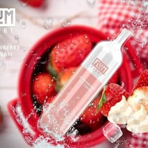 Flum Pebble Strawberry Ice Cream